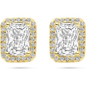 Zilver Verguld (Geel) Oorknoppen Zirkonia Halo 9,5 Mm 1 Micron 2103811