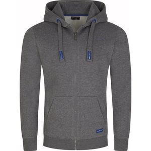 DENIMFY Heren Sweatjack DFLeo regular fit Grijs 3XL Volwassenen Hoodie Capuchon Sweatshirt