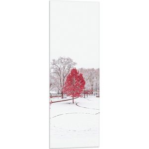 WallClassics - Vlag - Rode Boom in Witte Sneeuw - 30x90 cm Foto op Polyester Vlag