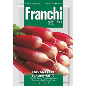 Franchi -  Radijs, Ravanello Flamboyant 3 112/25