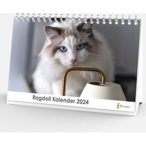Bureaukalender 2024 - Ragdoll - 20x12cm - 300gms