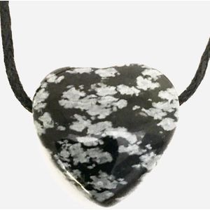 Sneeuwvlok obsidiaan edelstenen hanger hart 2 cm inzicht