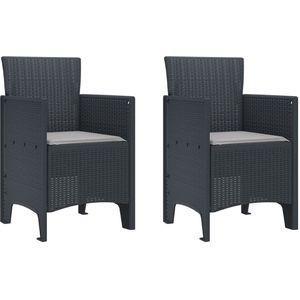 vidaXL - Tuinmeubels - met - Kussens - 2 - stuks - Anthraciet - Poly - Rattan