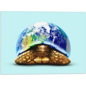 WallClassics - Vlag - Gouden Schildpad met Huis van Wereld - 40x30 cm Foto op Polyester Vlag