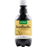 Purasana Komboecha Drink Fresh Gember Bio 330 ml
