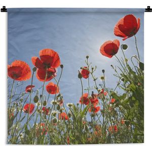 Wandkleed - Wanddoek - Felle zon boven een aantal klaprozen in Spanje - 60x60 cm - Wandtapijt