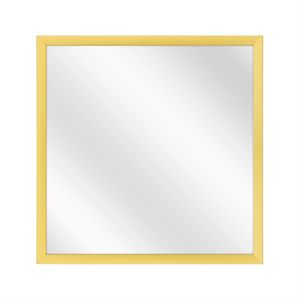Spiegel met Luxe Aluminium Lijst - Mat Goud - 40x40 cm