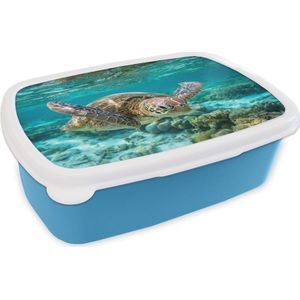 Broodtrommel Blauw - Lunchbox - Brooddoos - Een schildpad zwemt onder water vlakbij de bodem - 18x12x6 cm - Kinderen - Jongen