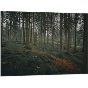 WallClassics - Vlag - Heuvel Bos - 100x75 cm Foto op Polyester Vlag