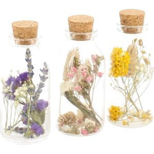Plant in a Box - Set van 3 droogbloemen in glazen flesjes - droogboeket
