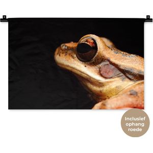 Wandkleed Dieren - Close-up kikker op zwarte achtergrond Wandkleed katoen 60x40 cm - Wandtapijt met foto
