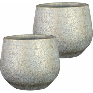 Steege Plantenpot/bloempot - 2x - keramiek - metallic zilvergrijs/touch of gold - D19/H16 cm