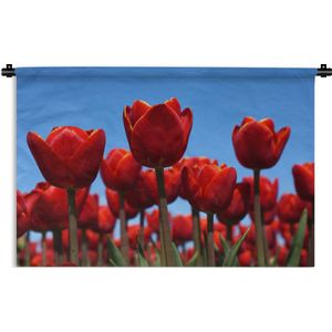 Wandkleed Tulp - De rode tulp Wandkleed katoen 150x100 cm - Wandtapijt met foto