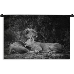 Wandkleed Leeuw in zwart wit - Leeuw en leeuwin Wandkleed katoen 180x120 cm - Wandtapijt met foto XXL / Groot formaat!
