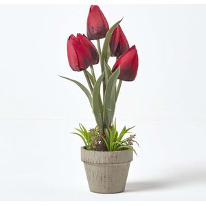Homescapes kunstbloemen tulpen in cellulose pot 27 cm hoog, rood