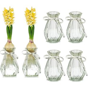 Glazen vazen voor bloemen met zijden touw, 6 stuks moderne hyacintvazen, knopavocadovaas, zoete erwtenvaas voor hydrocultuurplanten, narcissen, orchideeën, voor bureautafel, binnen, vensterbankdecoratie