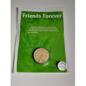 Waxine Wenskaart - met waxinelichtje - Friends Forever - cadeau tip