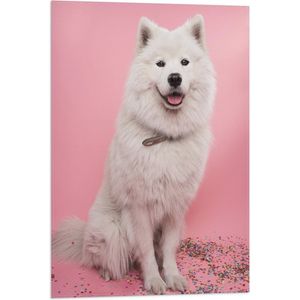 WallClassics - Vlag - Portret van Witte Hond tegen Roze Achtergrond met Confetti - 50x75 cm Foto op Polyester Vlag