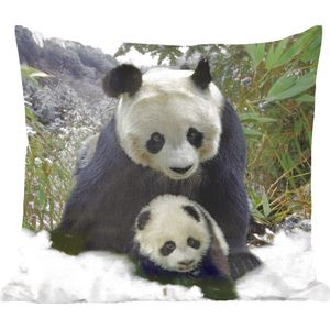 Sierkussen - Panda Welp Sneeuw - Groen - 40 Cm X 40 Cm