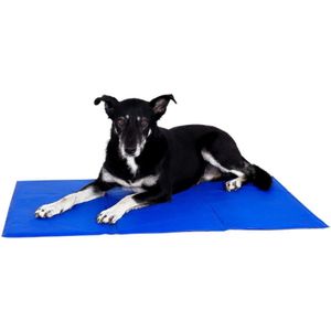 Zelfkoelende Huisdierenmat Voor Honden En Katten – Verfrissende Koelmat – Zonder Elektriciteit – Opvouwbare Koeldeken – 100x60 Cm – Blauw – Ideaal Voor Warme Dagen
