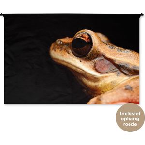 Wandkleed Dieren - Close-up kikker op zwarte achtergrond Wandkleed katoen 180x120 cm - Wandtapijt met foto XXL / Groot formaat!