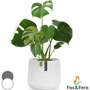 Fox&Fern Plantenbak M met 3D Ribbels - Inclusief Waterafvoer - 24 cm hoog - Plantenbakken voor kamerplanten - Bloempot 25 cm diameter - Wit