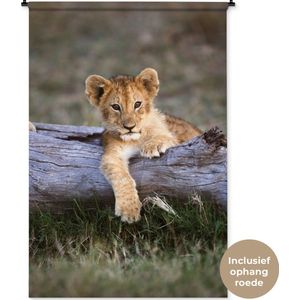 Wandkleed Leeuwen - Leeuwenwelp liggend op log Wandkleed katoen 120x180 cm - Wandtapijt met foto XXL / Groot formaat!