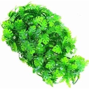 ZooMed - naturalistic flora - Amazonian Phyllo - Medium - terrariumplant