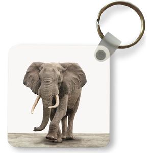 Sleutelhanger - Uitdeelcadeautjes - Dieren - Olifant - Grijs - Plastic