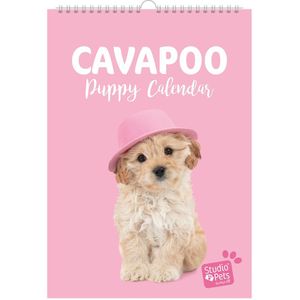 Studio Pets® A4 Cavapoo Honden Verjaardag Kalender Maandplanner!