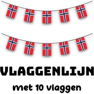 Akyol - noorwegen slinger - Vlaggenlijn - thema verjaardag noorwegen - vlag - 10 vlaggen