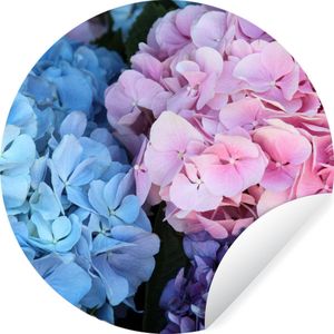 Behangcirkel - Hortensia - Bloemen - Plant - Natuur - Rond behang - Zelfklevend behang - Behangsticker - 50x50 cm - Rond behang - Behangcirkel bloemen