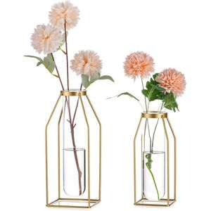 Bastix - Metalen reageerbuisjes, bloemenvaas, gouden frame, vaas met glazen, 19,5/24,5 cm, moderne draadvaas voor woonkamer, tafeldecoratie, design, geometrische vaas voor rozen, planten, gedroogde