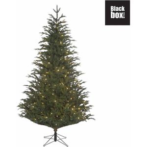 Black Box Trees Frasier Kunstkerstboom met LED verlichting - H260 cm - groen