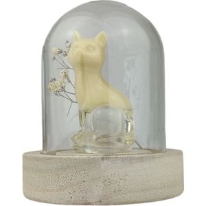 Gedenkpops huisdieren - kat urn - urnen - blond - mini urn - vulsetjes - huisdieren - gedenken - memmor