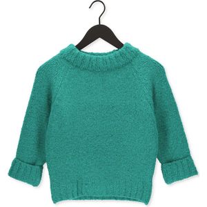 Penn & Ink Pullover 3/4 Truien & vesten Dames - Sweater - Hoodie - Vest- Groen - Maat XL