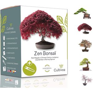 Mini Bonsai Groei Kit - Kweek je Eigen Bonsai Bomen met Kwaliteitszaden - Perfect Geschenk en Tuinaccessoire