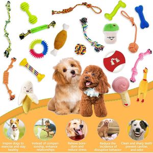 Hondenspeelgoed, 19 stuks speelgoed voor honden, voor robuuste tanden, kauwen, duurzaam speelgoed, tandtrainingsset voor kleine en middelgrote honden, interactieve speelset, onverwoestbaar, katoenen knoop, touw