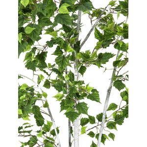 Europalms Berk Berkenboom, 150cm - Kunstplant