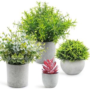Ingemaakte Kunstplanten Set van 4 - Nep Mini Faux Plant Gebladerte Eucalyptus Rozemarijn Vetplanten