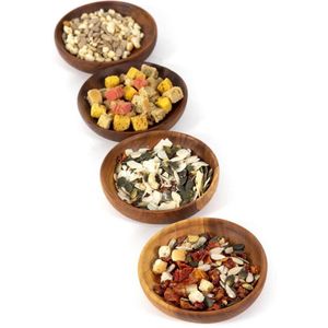 Tapasbakjes | Set van 4 kleine schaaltjes | Bakjes | Teakhout | rond Ø 10 cm | Handig en functioneel