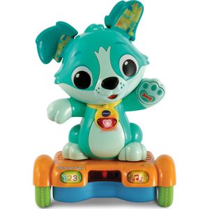 VTech Pak me dan Puppy - Cadeau - Met ingebouwde Sensors - Interactief speelgoed - 1 tot 3 Jaar