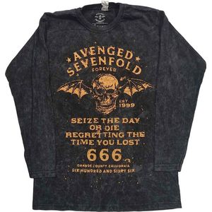 Avenged Sevenfold - Seize The Day Longsleeve shirt - 4XL - Zwart