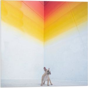 WallClassics - Vlag - Puppy onder Regenboog Street Art - 50x50 cm Foto op Polyester Vlag