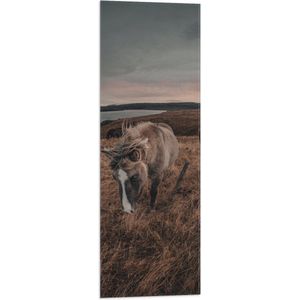 WallClassics - Vlag - Paarden op een Heuvel - 30x90 cm Foto op Polyester Vlag