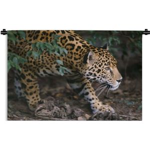 Wandkleed Junglebewoners - Sluipende jaguar in bos Wandkleed katoen 180x120 cm - Wandtapijt met foto XXL / Groot formaat!
