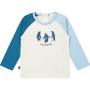Frogs and Dogs - Shirt Raglan met Pinguïnprint - Multicolor - Maat 80 -