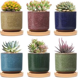 Set van 6 Gekleurde Keramische Succulente Plantenpotten met Bamboe Onderzetters - Ideaal voor Binnen