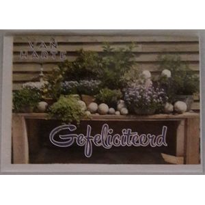 Van harte gefeliciteerd! Een mooie tuintafel vol met bloemen en planten. Een leuke kaart om te geven aan tuinliefhebbers. Een dubbele wenskaart inclusief envelop en in folie verpakt.