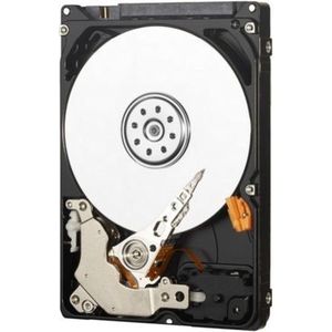 Western Digital Re - Interne harde schijf - 320 GB